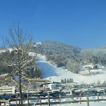 Low Budget Areit Lozano By Ged